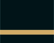 FLEX Gloss Black/Gold-Adhesive